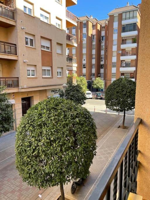 Apartamento Zoco コルドバ エクステリア 写真